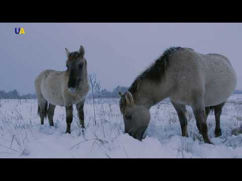 Beremytske Nature Park | Unexplored Ukraine